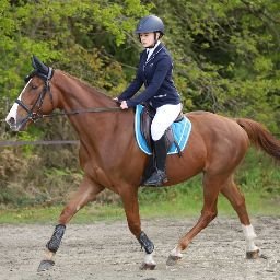 Centre Equestre Cavale Merens - photo 3
