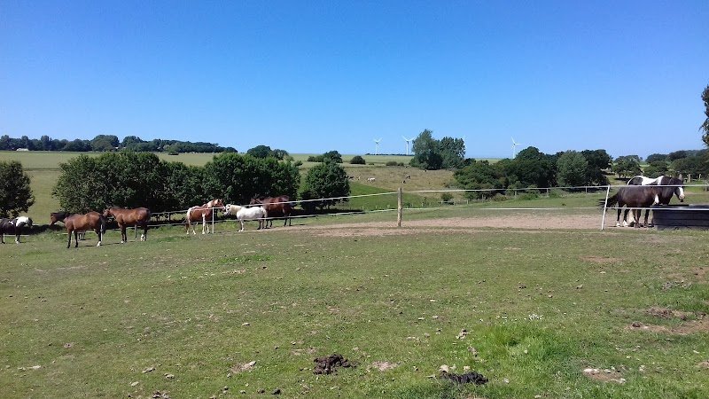 La ferme aux Chevaux - photo 2