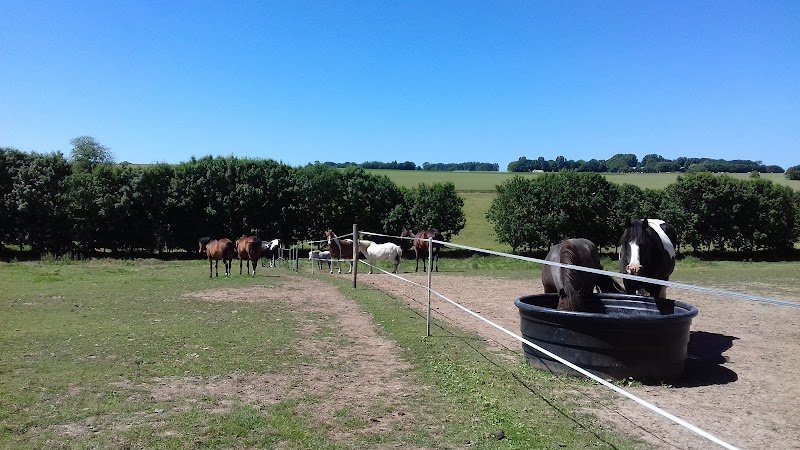 La ferme aux Chevaux - photo 3