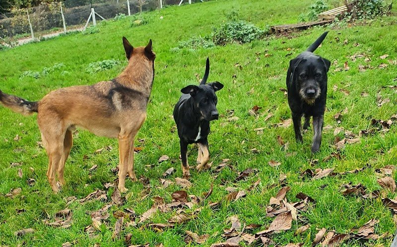 Au royaume de Billy - Pension Familiale - photo 1