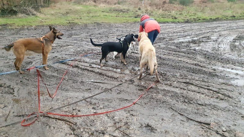Au royaume de Billy - Pension Familiale - photo 2