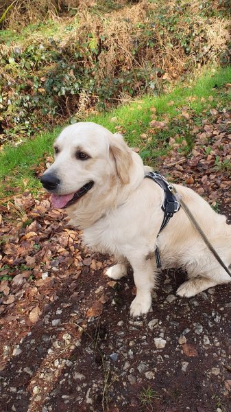 Au royaume de Billy - Pension Familiale - photo 3