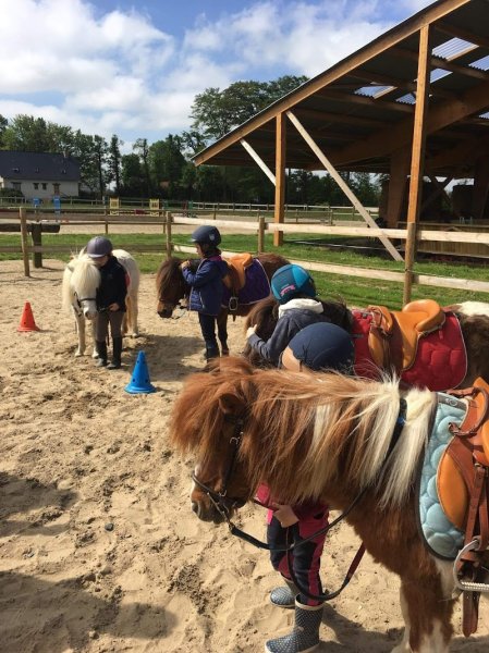 Centre Equestre Le Clos Dherine - photo 1
