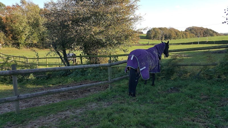 Earl Ecurie de Bruneval - photo 2