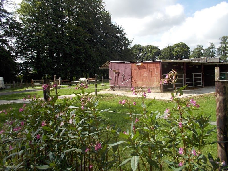 Les Cavaliers du Feugrès - photo 2