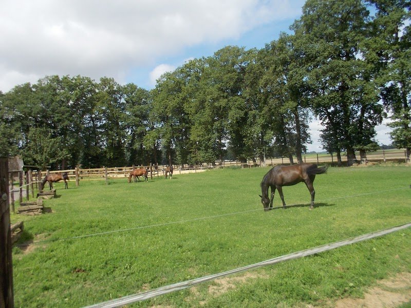 Les Cavaliers du Feugrès - photo 3