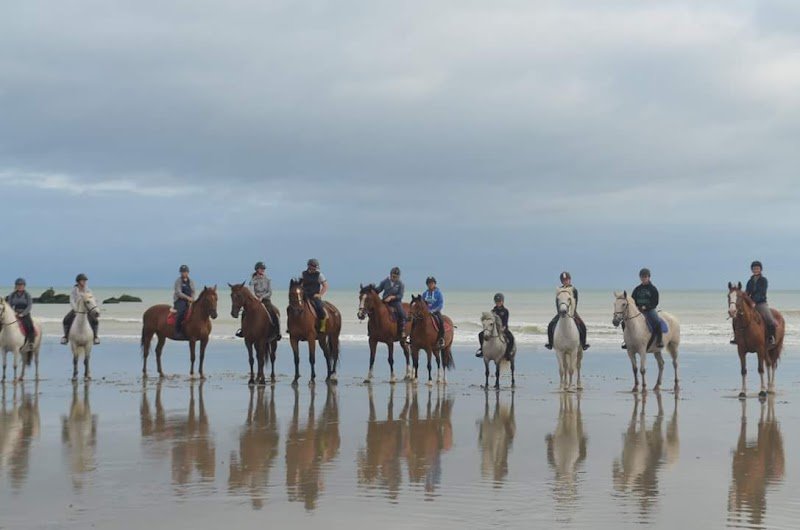 Ferme équestre des 4 vents - photo 2