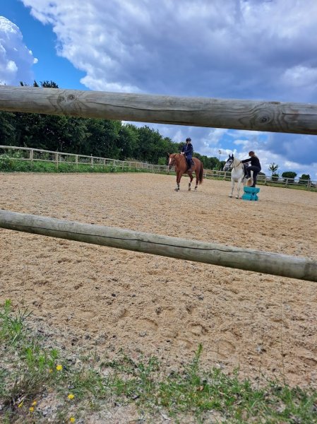 Les Ecuries Du Moulin Vacquet - photo 1