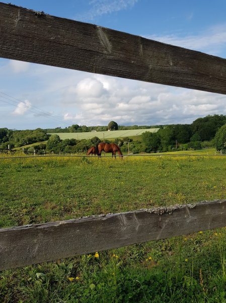 Ecuries des Partages - photo 1