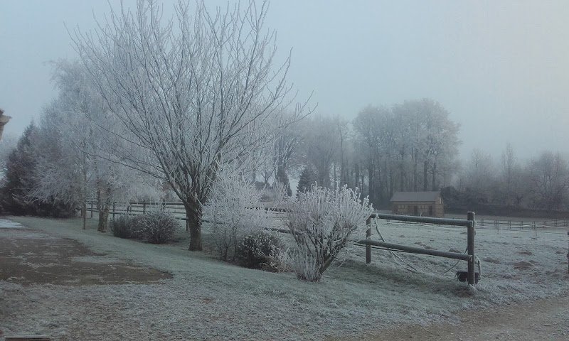 Les Ecuries Marussia - photo 3