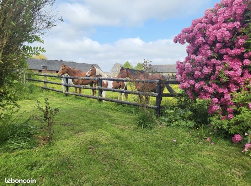 Le haras du château - photo 1