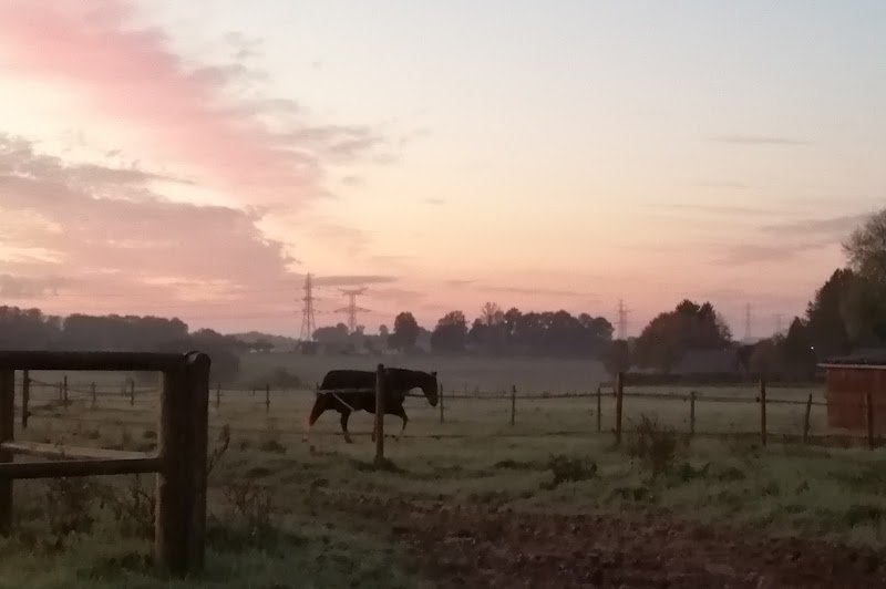 Les Ecuries De La Hetraie - photo 3