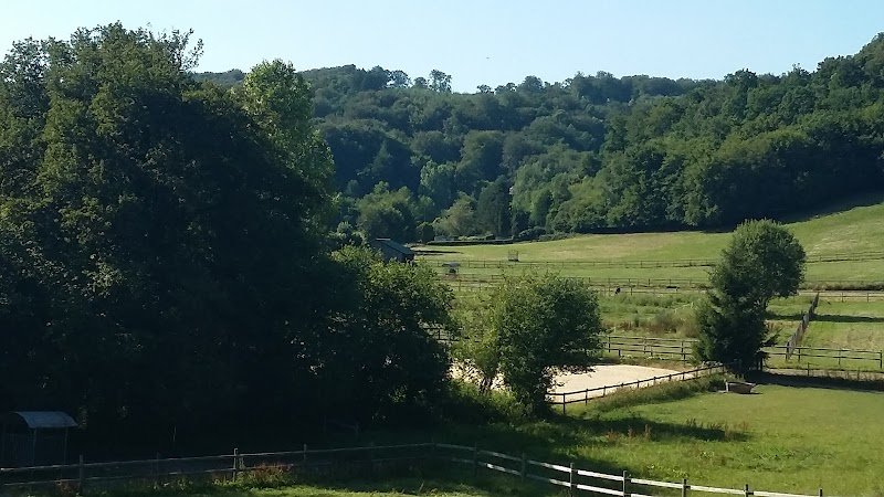 haras des ifs - photo 1