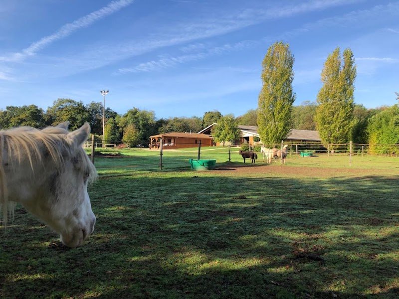 Centre Equestre de Venat - photo 2