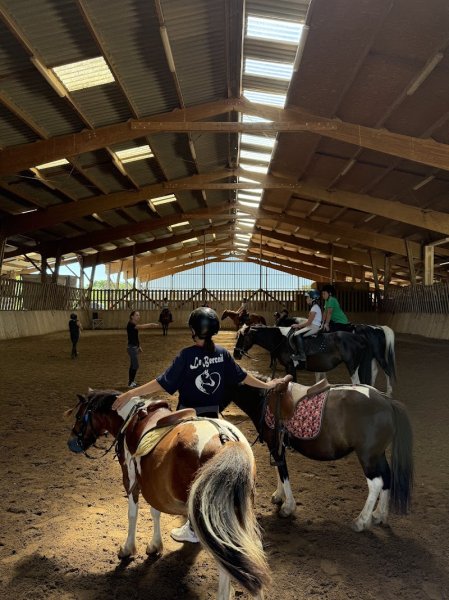 Centre Equestre Poney Club Le Bercail - photo 2