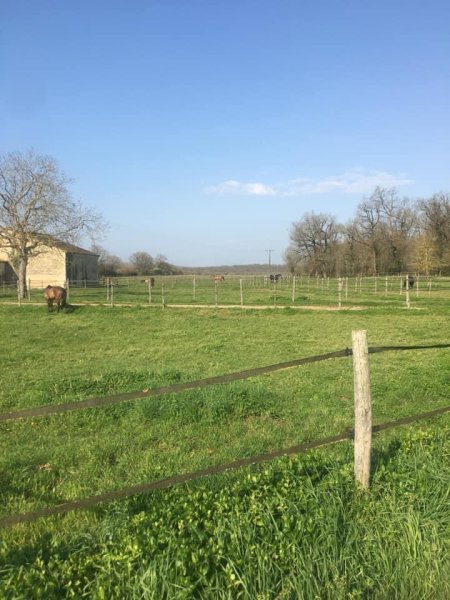 Ecurie des Mongeries - photo 2