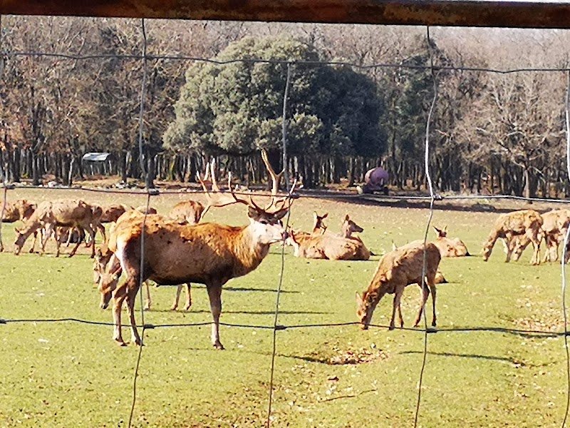 CENTRE EQUESTRE DES EAUX CLAIRES