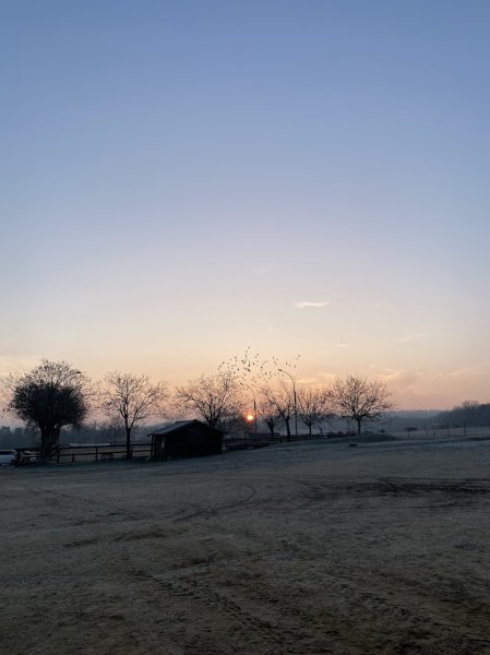CENTRE EQUESTRE DES EAUX CLAIRES - photo 3