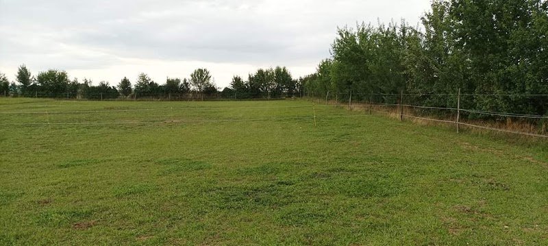 Atypik’Cheval – Cours - Ethologie / Clicker Training - Débourrage - ( Ré) Education - photo 3