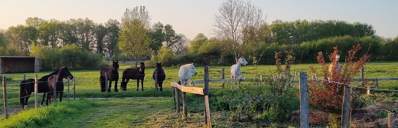 Les Écuries de Bel Air - photo 1