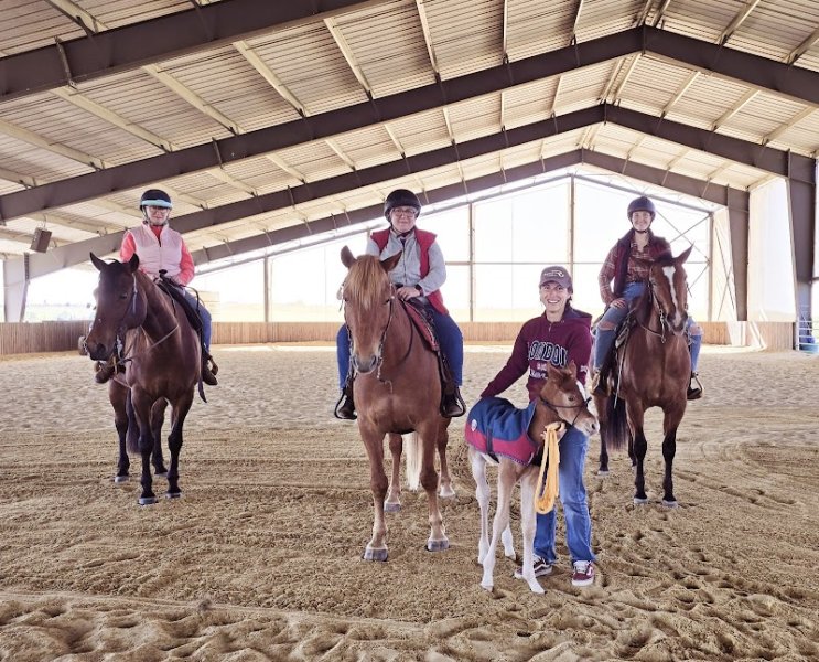 Les Ecuries du Grand Guillon - photo 1