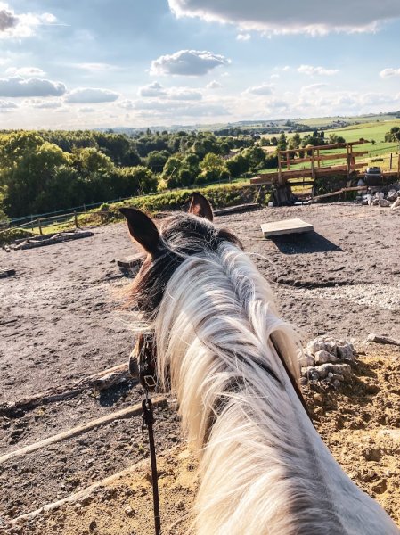 Les Ecuries du Grand Guillon - photo 3