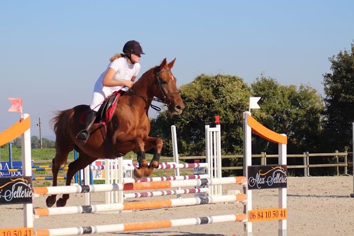 Earl les Ecuries de Lancelot - photo 1