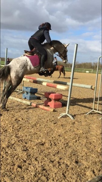 Earl les Ecuries de Lancelot - photo 2