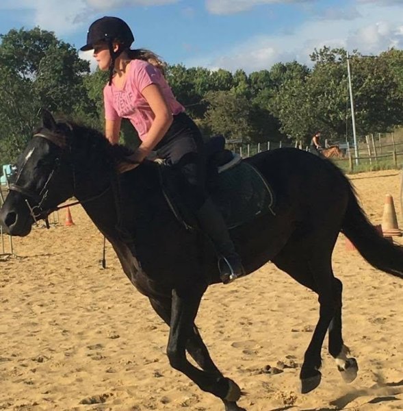 Earl les Ecuries de Lancelot - photo 3