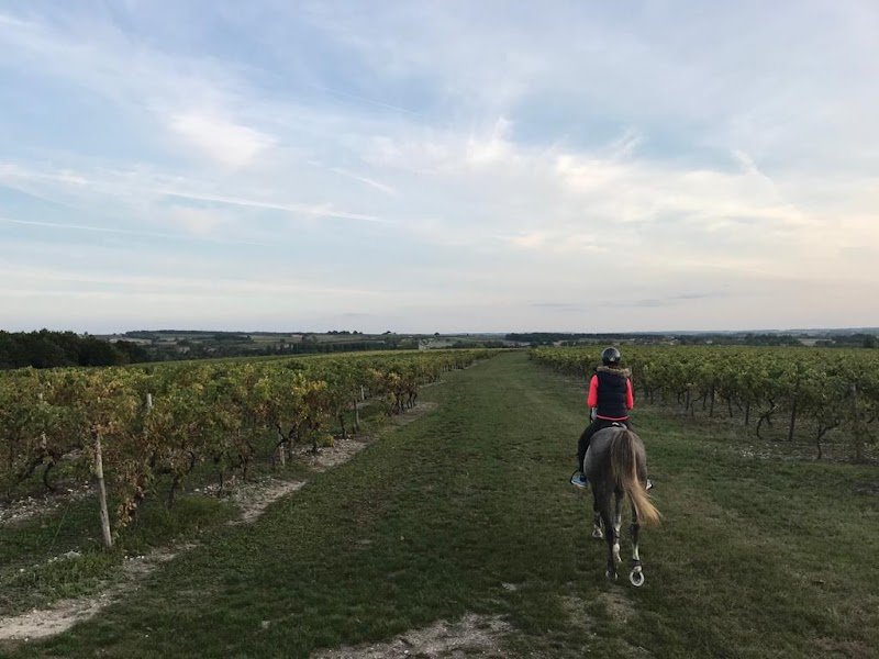 Écurie du Chai - photo 1