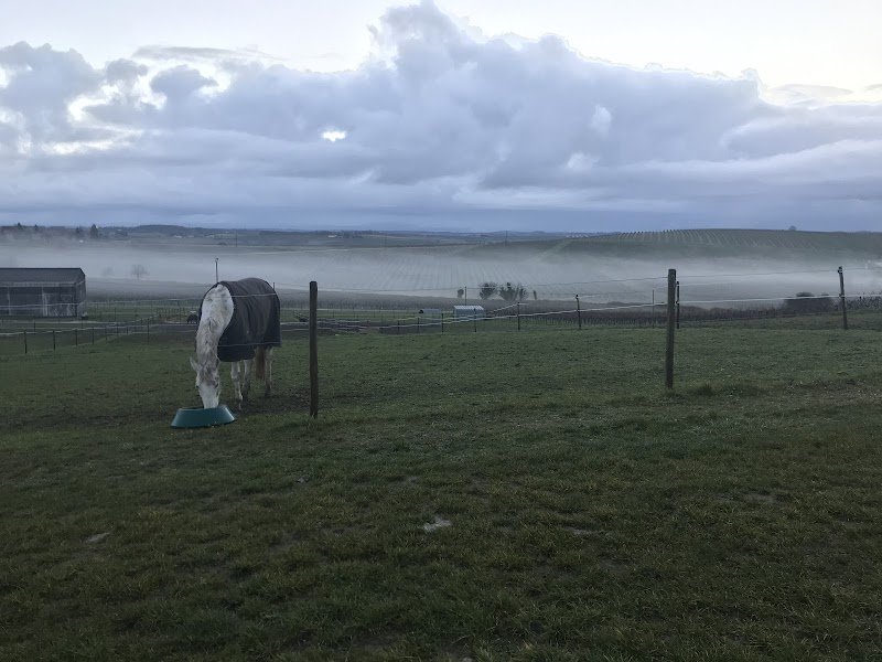 Écurie du Chai - photo 2