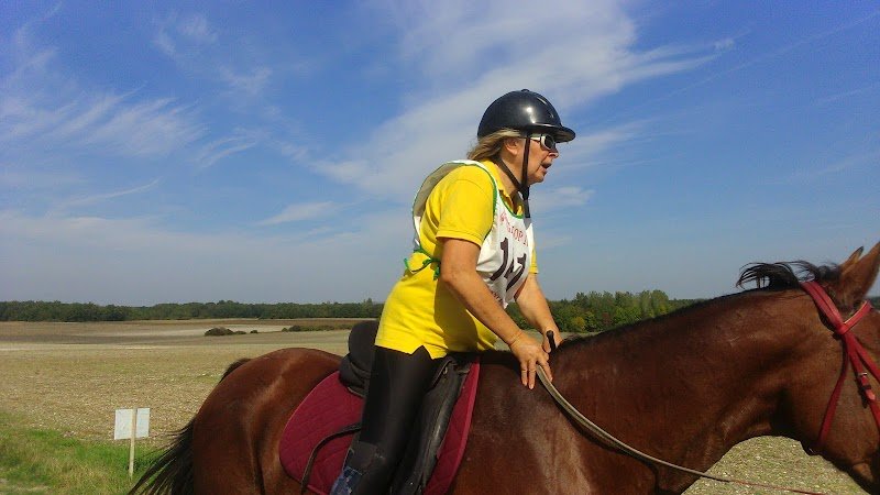 ECURIES DES AGRIERS - photo 1