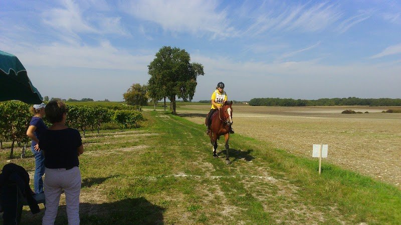 ECURIES DES AGRIERS - photo 2