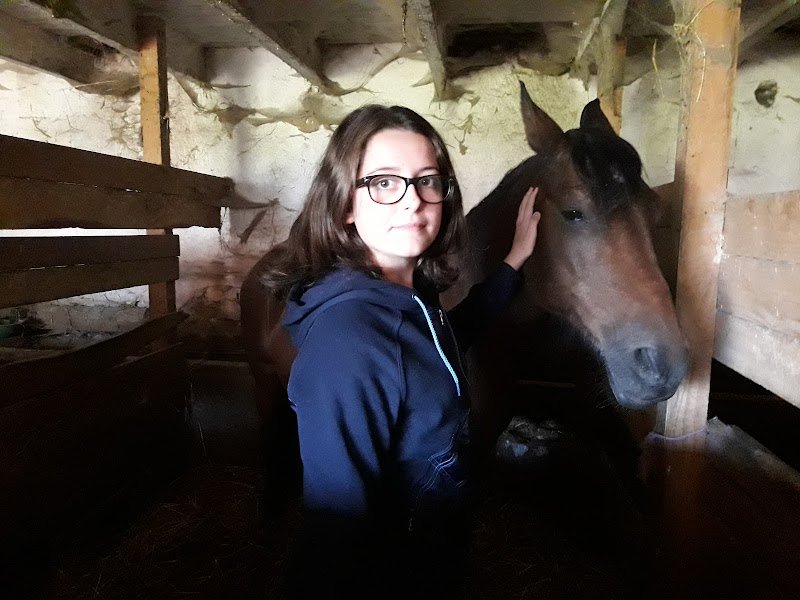 ECURIES DES AGRIERS - photo 3