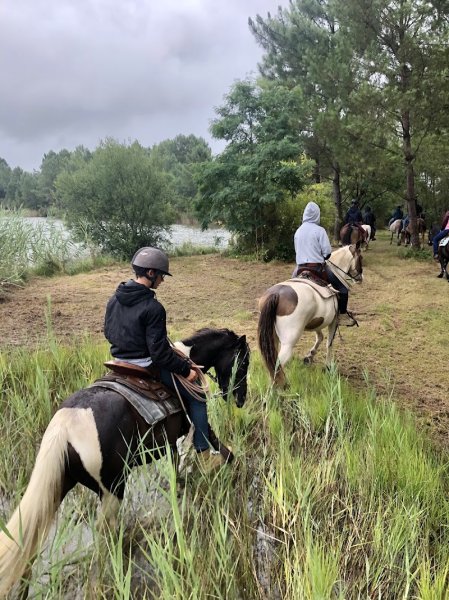 Ferme Équestre L’idalgo - photo 1