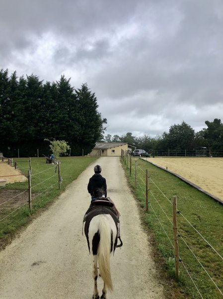 Ferme Équestre L’idalgo - photo 2