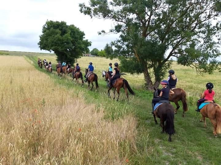 Les écuries de la champagne - photo 2