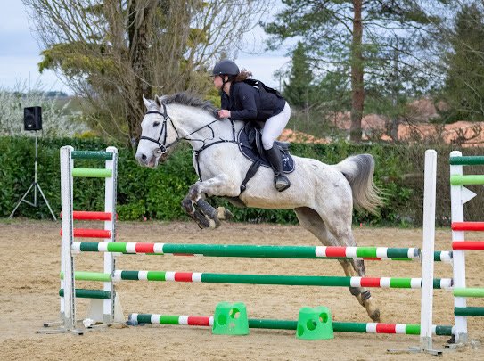 Les écuries de la champagne - photo 3
