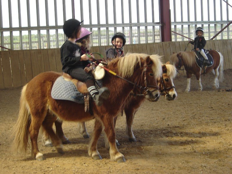 Poney club du renouveau - photo 2