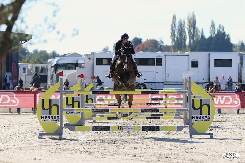 Écurie de Chasseneuil - Centre Équestre/Poney Club/Valorisation