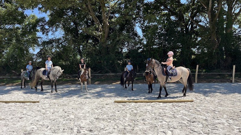 Écurie de Chasseneuil - Centre Équestre/Poney Club/Valorisation - photo 2
