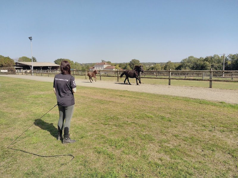 Haras des Quatre Vents - photo 2