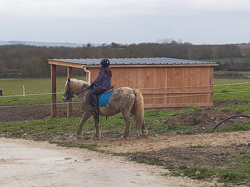 Club d'équitation Les Petites Ecuries de Genac - photo 3