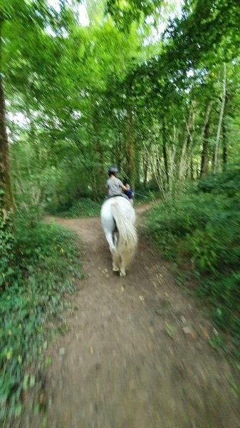 Centre Equestre de Jallais - photo 2