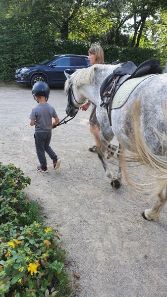 Centre Equestre de Jallais - photo 3