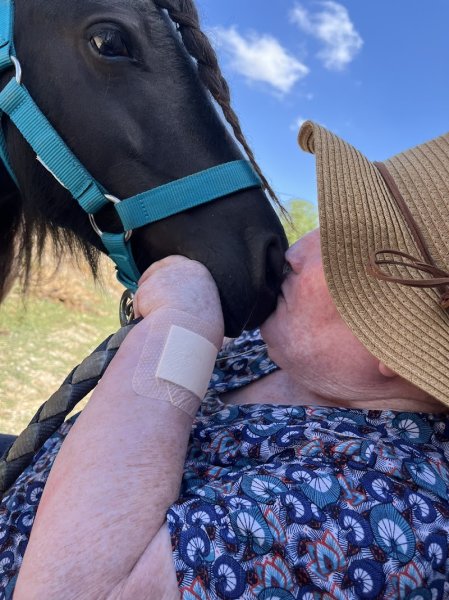 Les Ecuries du Mesnil - photo 2