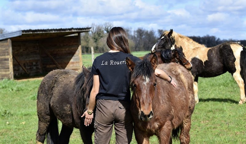 Les Ecuries de la Rouerie - photo 1
