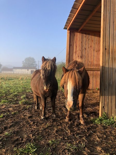 Les Ecuries de la Rouerie - photo 3