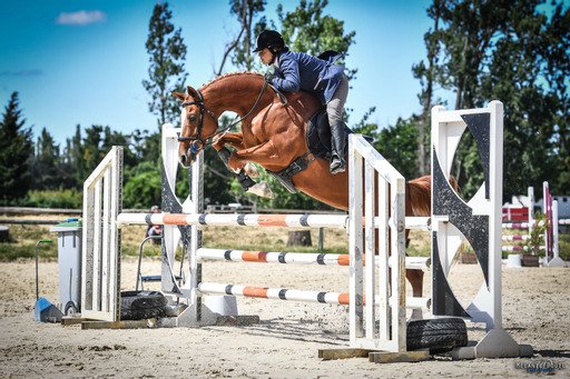 Ecurie DLBG - photo 1