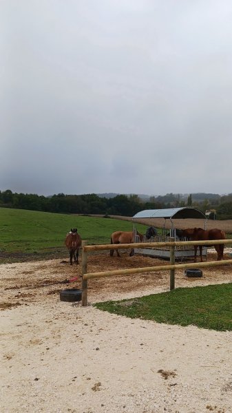 Ecuries des chênes - photo 1